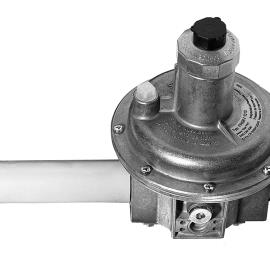 Dungs FRSBV Safety Pressure Relief Valve
